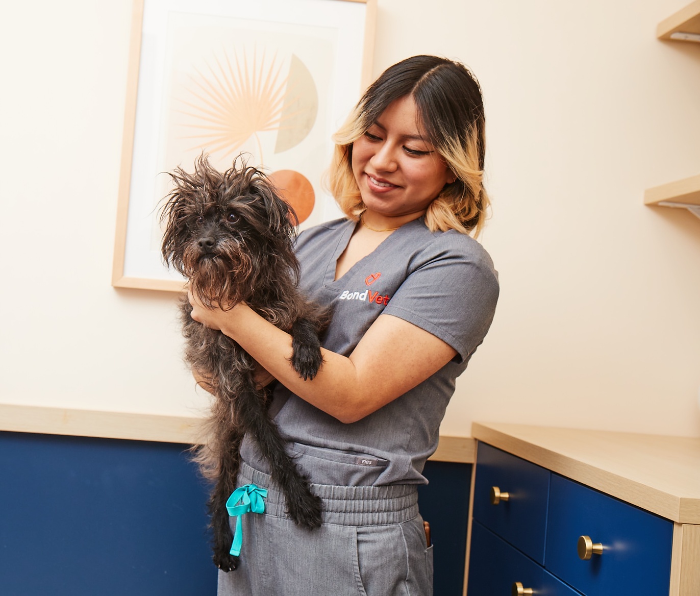 Woodbury Animal Hospital & Vet Clinic Bond Vet